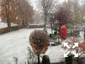 Schneebedeckter Garten mit Bäumen, Sträuchern und einer roten Telefonzelle.